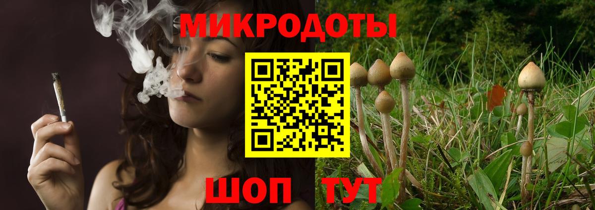 Кизляр  Псилоцибиновые грибы Cubensis  Вход с VPN 