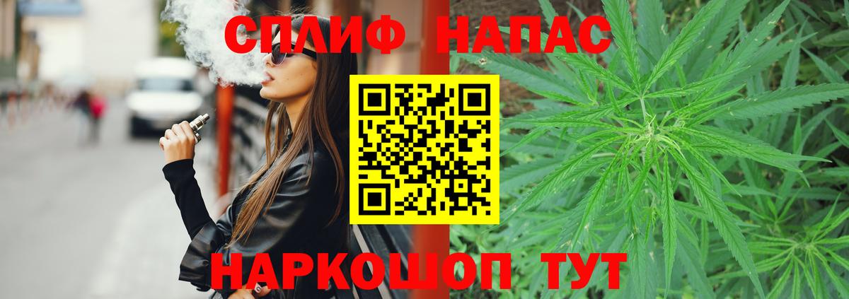 Каннабис индика Кизляр
